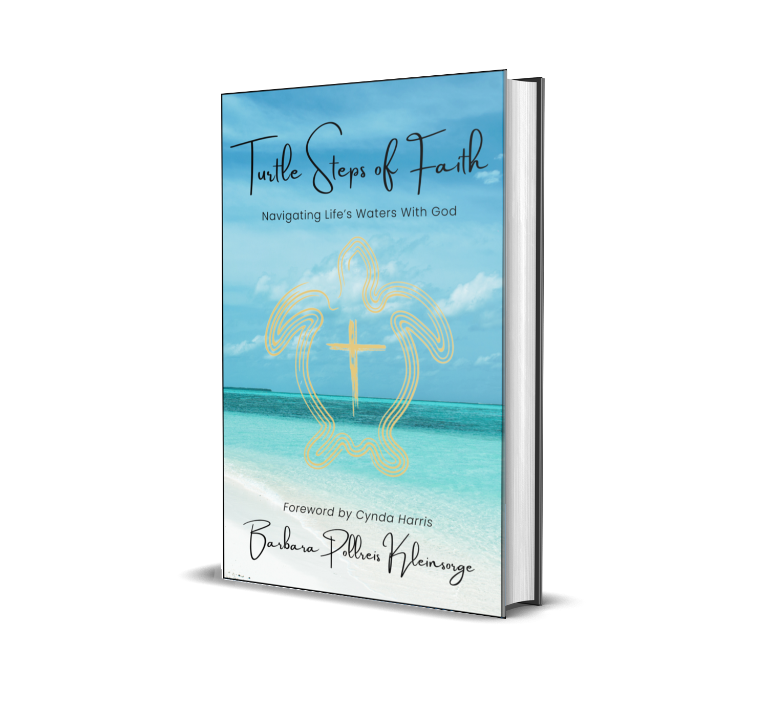 Turtle Steps Of Faith - Navigating Life's Waters With God